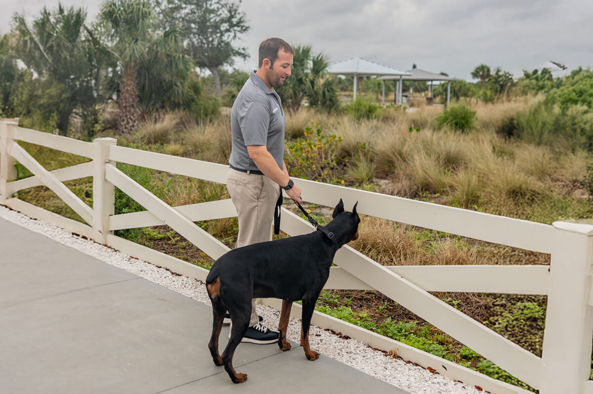 veterinary-vantage-florida-board-certified-veterinary-surgeon-ScheduleTodayIMG (1)